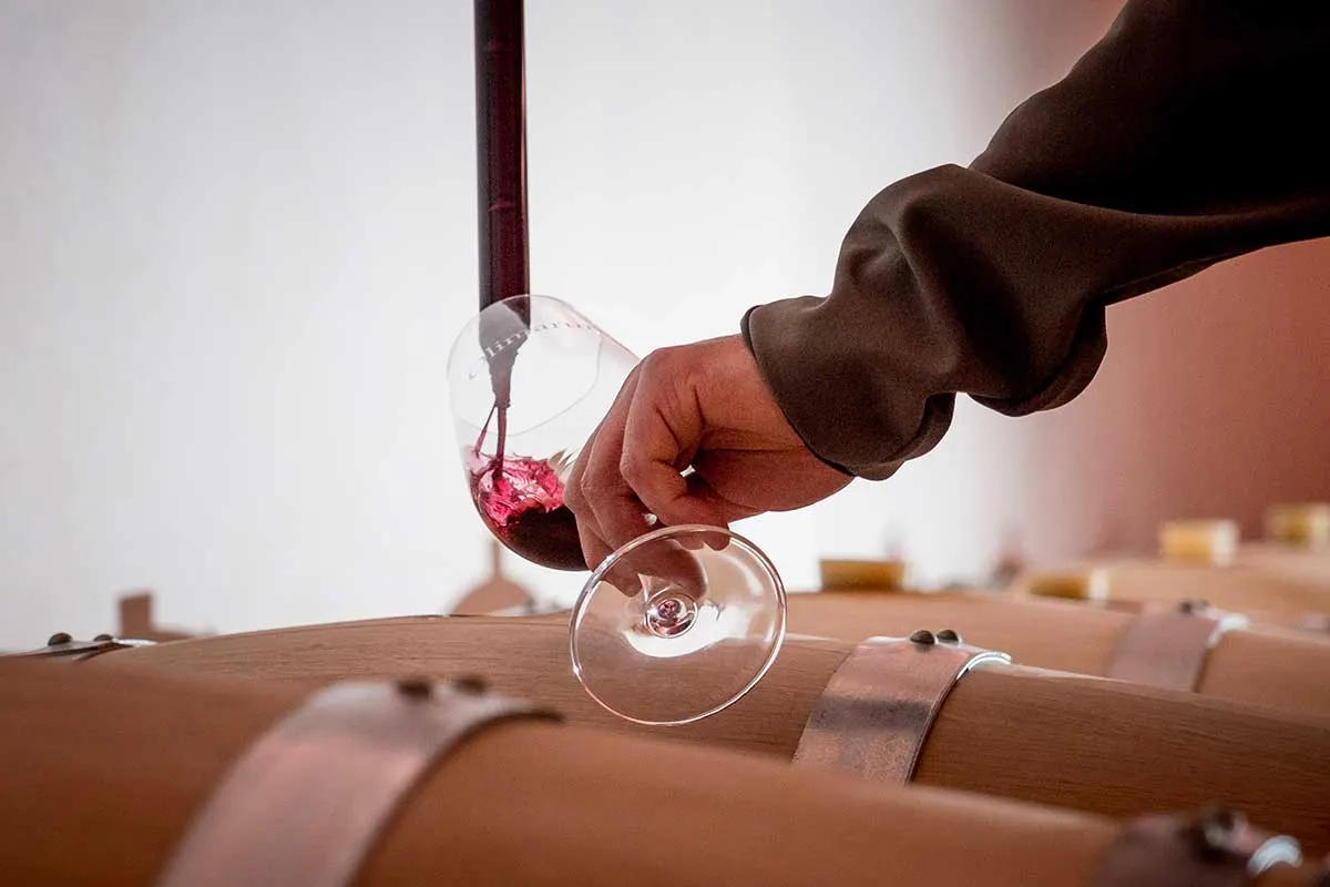 Cata de vino tinto sobre las barricas de Olimarum